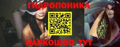 сатива Кулебаки