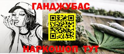 сатива Кулебаки