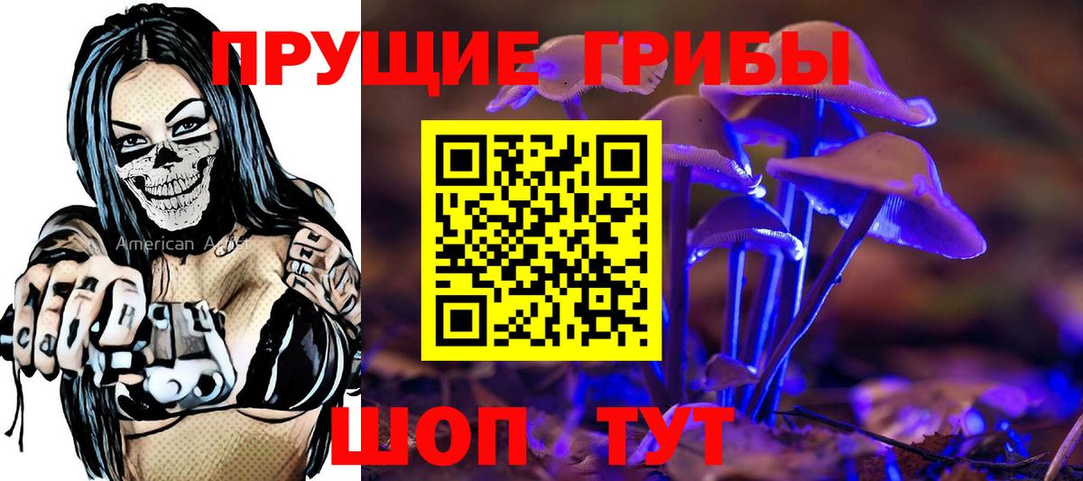 Псилоцибиновые грибы Cubensis  Вход с VPN  Гай 